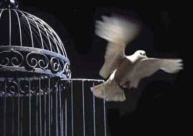 libertad-2.jpg