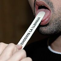 lengua2.jpg