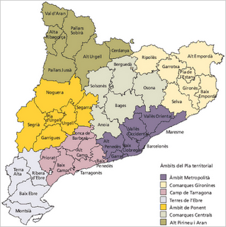 CATALU_1.png