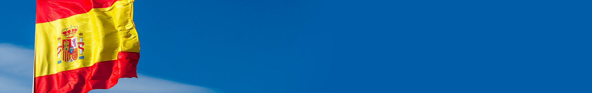 fndBandera Fundación DENAES Actividades